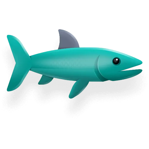 Barracuda